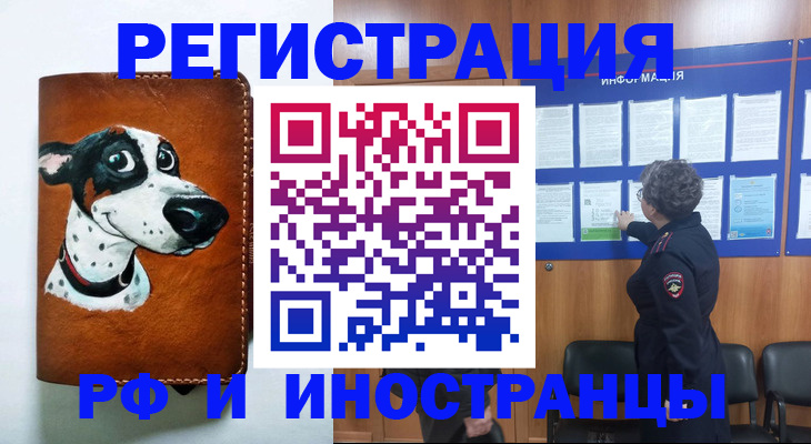 временная регистрация законно в Щиграх